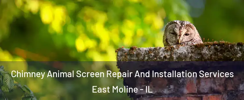  Chimney Animal Screen Repair And Installation Services East Moline - IL