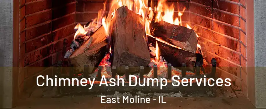  Chimney Ash Dump Services East Moline - IL