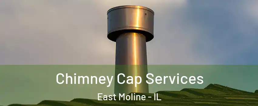  Chimney Cap Services East Moline - IL