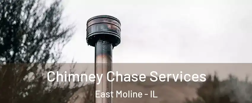  Chimney Chase Services East Moline - IL