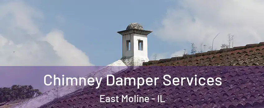  Chimney Damper Services East Moline - IL