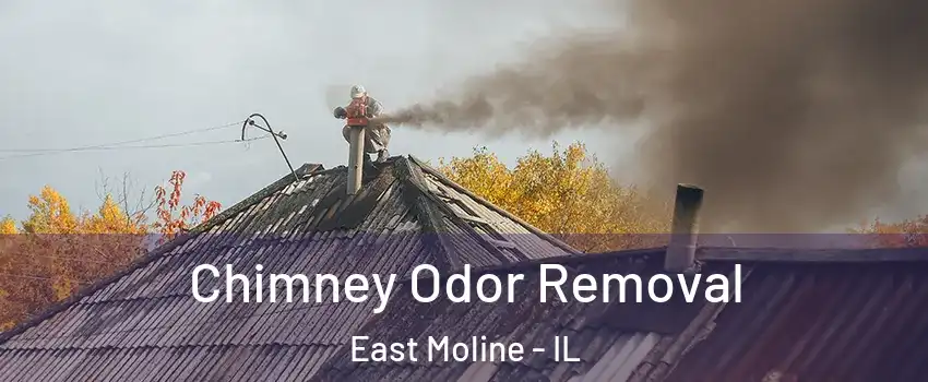  Chimney Odor Removal East Moline - IL