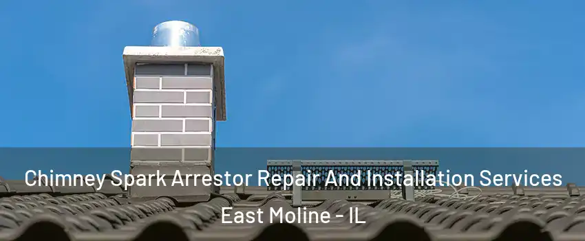  Chimney Spark Arrestor Repair And Installation Services East Moline - IL