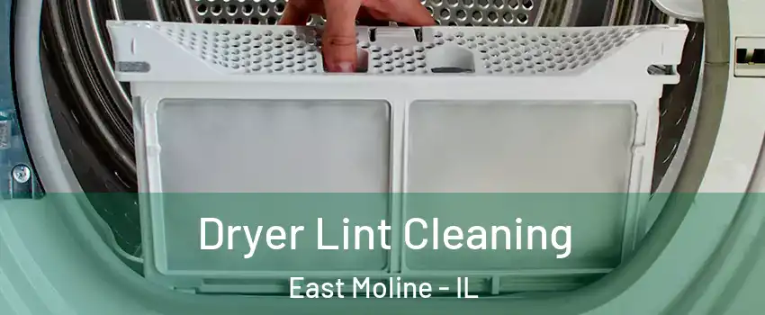  Dryer Lint Cleaning East Moline - IL