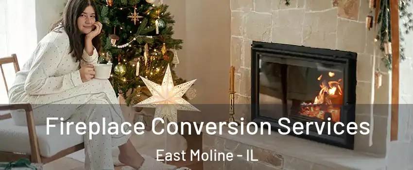  Fireplace Conversion Services East Moline - IL