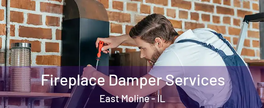 Fireplace Damper Services East Moline - IL