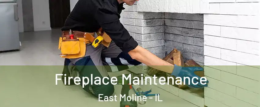  Fireplace Maintenance East Moline - IL