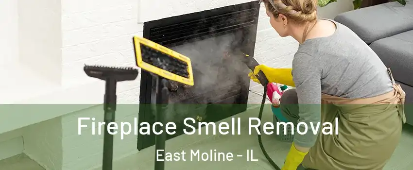  Fireplace Smell Removal East Moline - IL