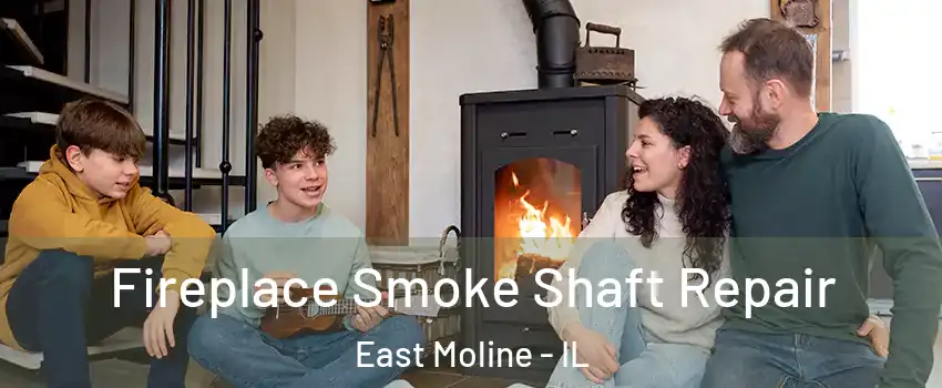  Fireplace Smoke Shaft Repair East Moline - IL