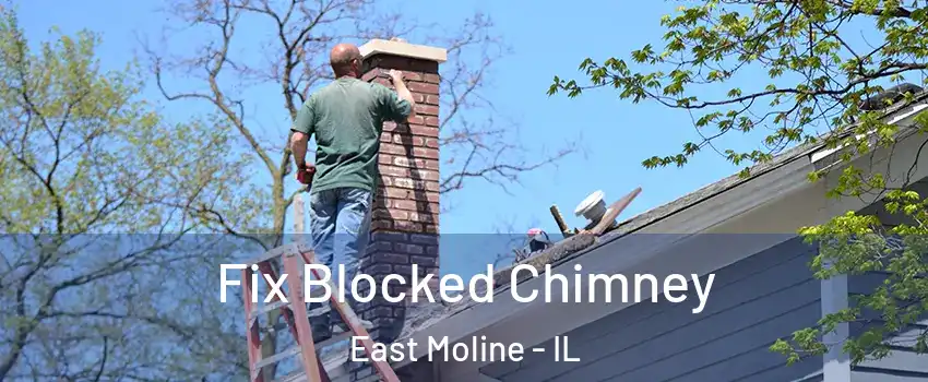  Fix Blocked Chimney East Moline - IL