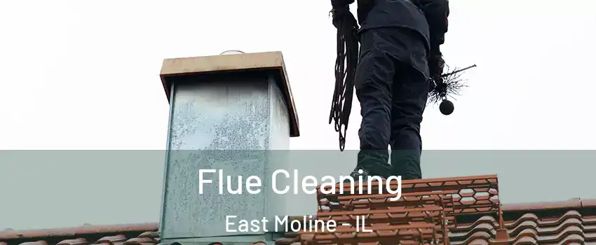  Flue Cleaning East Moline - IL