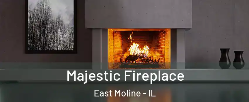  Majestic Fireplace East Moline - IL
