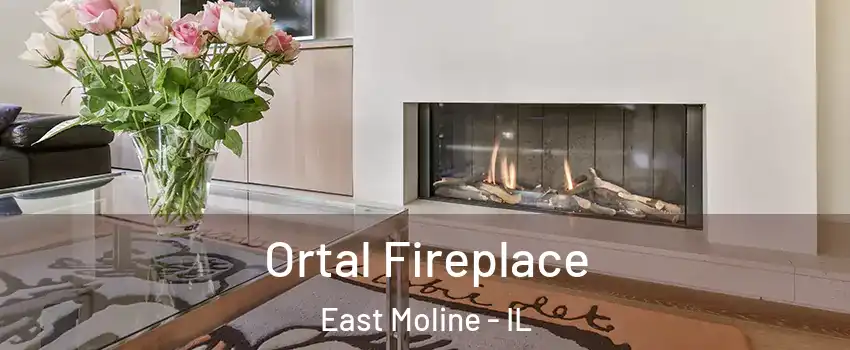 Ortal Fireplace East Moline - IL