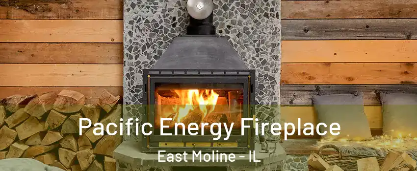 Pacific Energy Fireplace East Moline - IL
